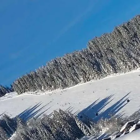 Nocleg ze śniadaniem Helmuth Oberreiter Flachau